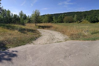 Land - Sale - ISTARSKA - KRŠAN - ŠUŠNJEVICA